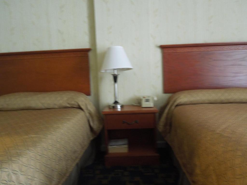 Seahawk Motel バージニアビーチ 部屋 写真